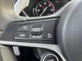 Alfa Romeo Stelvio Stelvio 2.2 Diesel 16V AT8 Q4 Super *NIEUWSTAAT* Gris - thumbnail 22