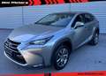 Lexus NX 300 Hybrid NX300h 4x4 AUTOMATICA AWD 4WD TETTO LED Grigio - thumbnail 1