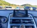 Lexus NX 300 Hybrid NX300h 4x4 AUTOMATICA AWD 4WD TETTO LED Grigio - thumbnail 13