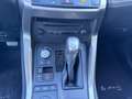 Lexus NX 300 Hybrid NX300h 4x4 AUTOMATICA AWD 4WD TETTO LED Grigio - thumbnail 14