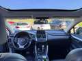 Lexus NX 300 Hybrid NX300h 4x4 AUTOMATICA AWD 4WD TETTO LED Grigio - thumbnail 10