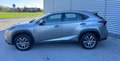 Lexus NX 300 Hybrid NX300h 4x4 AUTOMATICA AWD 4WD TETTO LED Grigio - thumbnail 8