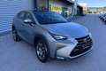 Lexus NX 300 Hybrid NX300h 4x4 AUTOMATICA AWD 4WD TETTO LED Grigio - thumbnail 3