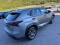 Lexus NX 300 Hybrid NX300h 4x4 AUTOMATICA AWD 4WD TETTO LED Grigio - thumbnail 5