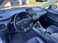 Lexus NX 300 Hybrid NX300h 4x4 AUTOMATICA AWD 4WD TETTO LED Grigio - thumbnail 12