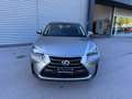 Lexus NX 300 Hybrid NX300h 4x4 AUTOMATICA AWD 4WD TETTO LED Grigio - thumbnail 2