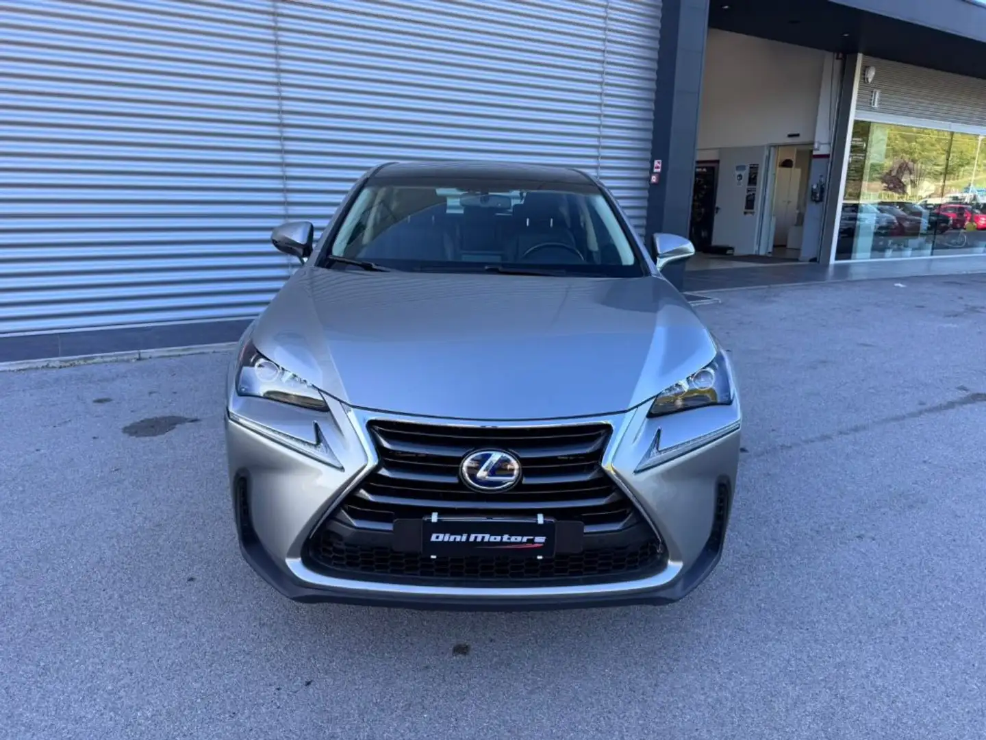 Lexus NX 300 Hybrid NX300h 4x4 AUTOMATICA AWD 4WD TETTO LED Grigio - 2