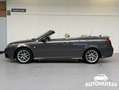 Saab 9-3 Cabrio 1.8t Vector HIRSCH|Smoke Beige|XENON |NAVI| Gris - thumbnail 5