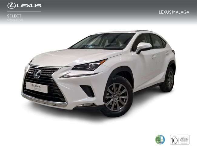 Lexus NX 300 300h Business Navigation 2WD - foto 1