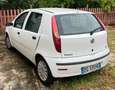 Fiat Punto Punto 1.2, 60 CV , 5p 1.2 METANO Bianco - thumbnail 3