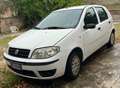 Fiat Punto Punto 1.2, 60 CV , 5p 1.2 METANO Bianco - thumbnail 1