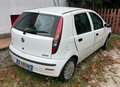Fiat Punto Punto 1.2, 60 CV , 5p 1.2 METANO Bianco - thumbnail 4