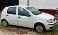 Fiat Punto Punto 1.2, 60 CV , 5p 1.2 METANO Bianco - thumbnail 2