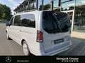 Mercedes-Benz V 250 V 250 d STYLE Lang Distronic+Multibeam+AHK 2,5 LED Grau - thumbnail 3