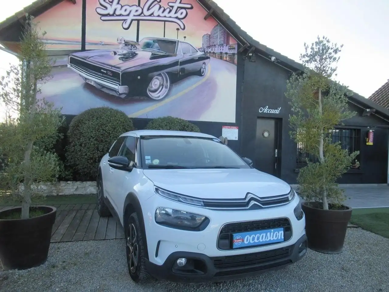 Citroen C4 Cactus HDI 1.5 2404