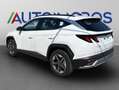 Hyundai TUCSON Tucson III 2024 1.6 crdi 48V Business 2wd dct Bianco - thumbnail 6