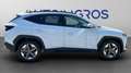 Hyundai TUCSON Tucson III 2024 1.6 crdi 48V Business 2wd dct Bianco - thumbnail 8