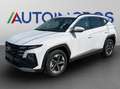 Hyundai TUCSON Tucson III 2024 1.6 crdi 48V Business 2wd dct Bianco - thumbnail 1