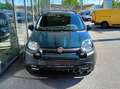 Fiat Panda 4x2 FireFly Hybrid 70 Pandina Grün - thumbnail 3