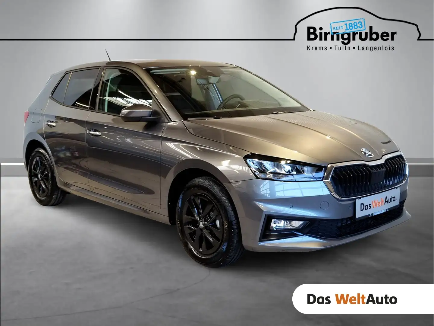 Skoda Fabia Selection TSI Grau - 1