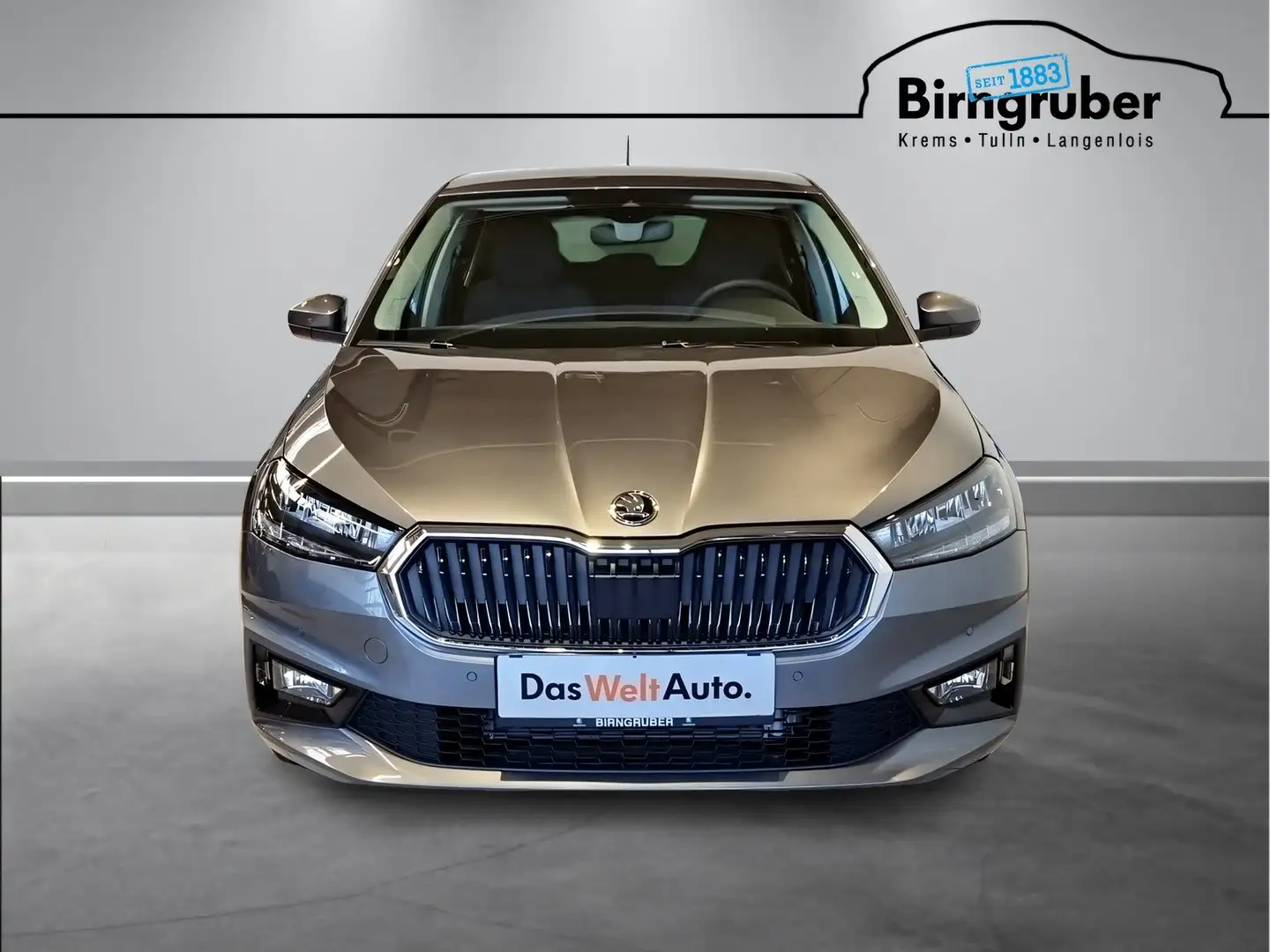 Skoda Fabia Selection TSI Grau - 2