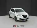 Lancia Ypsilon 1.2 8v Elefantino 69cv Zilver - thumbnail 1