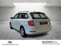 Skoda Fabia Combi 1.0 MPI Ambition DAB SmartLink SHZ Weiß - thumbnail 3