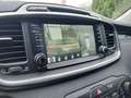 Kia Sorento 2.2 CRDi Stop&Go AWD Feel REBEL 4WD Auto Gris - thumbnail 13
