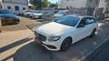Mercedes-Benz E 220 d T Autom.Klimaautom,PDC,Gr.Navi,Panorama Weiß - thumbnail 3