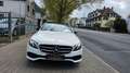 Mercedes-Benz E 220 d T Autom.Klimaautom,PDC,Gr.Navi,Panorama Weiß - thumbnail 1