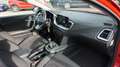 Kia Ceed SW / cee'd SW 1.6 CRDi Eco-Dynamics+ Vision (48V Mild-Hybrid) Piros - thumbnail 13