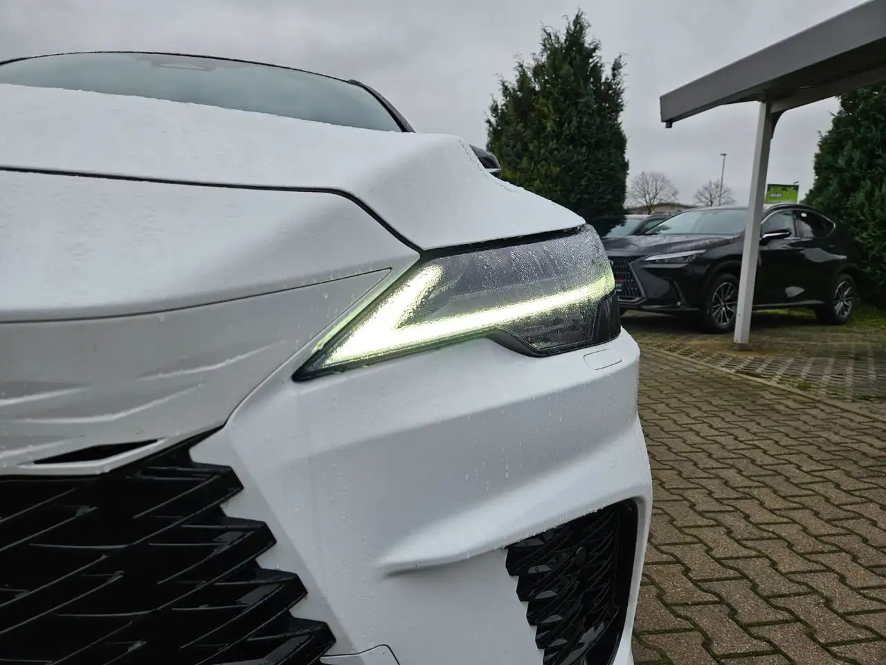 Lexus RX 450h + E-Four F-Sport Design ACC+LED+Navi 4