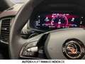 Skoda Kodiaq 2.0 TSI DSG 4x4 RS AHK PANO STHZ MATRIX Silber - thumbnail 19