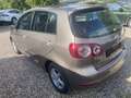 Volkswagen Golf Plus VI Trendline Marrone - thumbnail 6