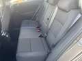 Volkswagen Golf Plus VI Trendline Marrone - thumbnail 8