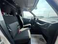 Fiat Doblo 1.6 mjt 105cv Autocarro, Telecamera, Bluetooth Bianco - thumbnail 11