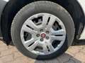 Fiat Doblo 1.6 mjt 105cv Autocarro, Telecamera, Bluetooth Bianco - thumbnail 7