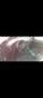 BMW 525 525 - thumbnail 5