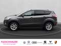 Ford Kuga Titanium 1.5 EcoBoost AHK Klima Xenon RFK SHZG Des Gris - thumbnail 3