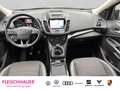 Ford Kuga Titanium 1.5 EcoBoost AHK Klima Xenon RFK SHZG Des Gris - thumbnail 16