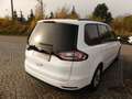 Ford Galaxy Business Weiß - thumbnail 5