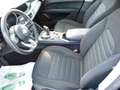 Alfa Romeo Stelvio 2.2 Turbodiesel 190 CV AT8 Q4 Nero - thumbnail 7