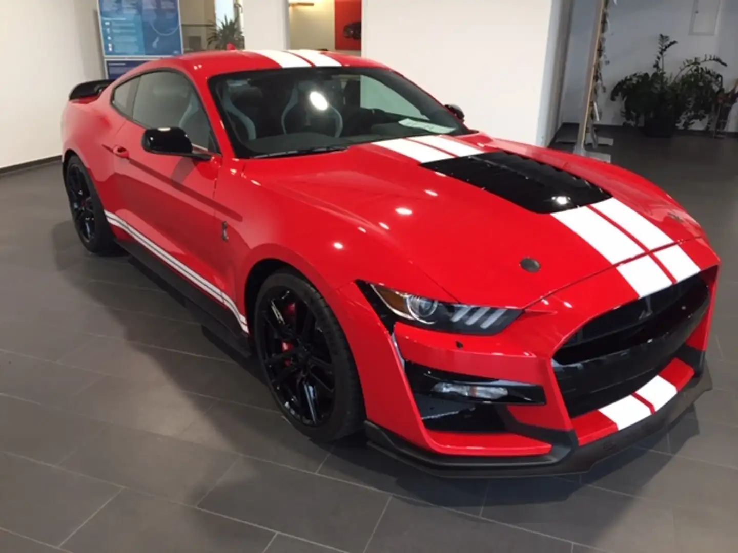 Ford Mustang Fastback 5.2 Shelby GT500 Recaro Rot - 1