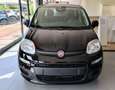 Fiat Panda Panda 1.0 FireFly S&S Hybrid Schwarz - thumbnail 2