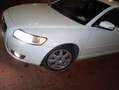 Volvo V50 V50 2.0d Momentum White - thumbnail 1