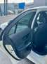 Mercedes-Benz C 300 d*AMG-Paket*1.Besitz*SZH*Pano*LED* Weiß - thumbnail 7