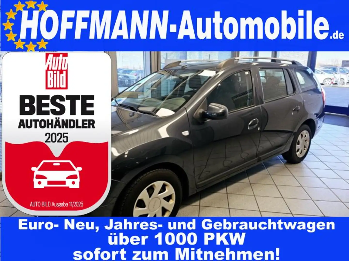 Dacia Logan ohne Tüv Grey - 1