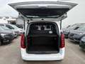 Opel Combo Life E 1.5 D Ultimate Kamera Tempomat Weiß - thumbnail 13