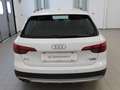 Audi A4 allroad A4 Allroad 3.0 tdi Business Evo 272cv tiptronic Blanc - thumbnail 5