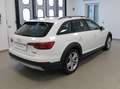 Audi A4 allroad A4 Allroad 3.0 tdi Business Evo 272cv tiptronic Blanc - thumbnail 4